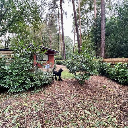 Het Zenhuisje Lanaken Zewnętrze zdjęcie